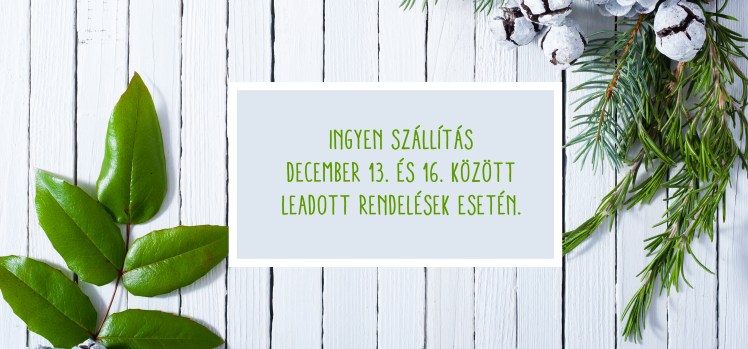 Christmas decoration evergreen cones and twigs on white wooden table background